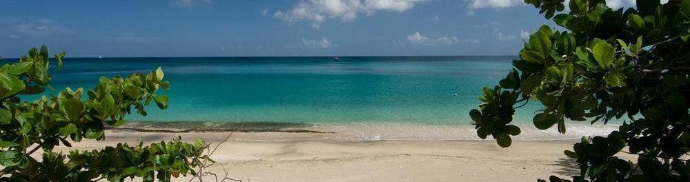 Keegans Beachside 호텔 Bequia Island 외부 사진